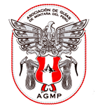 Associação de Guias de Montanha do Peru
Guia oficial de High Mountain certificado pela: AGMP / IVBV - UIAGM - IFMGA